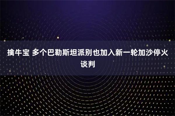 擒牛宝 多个巴勒斯坦派别也加入新一轮加沙停火谈判