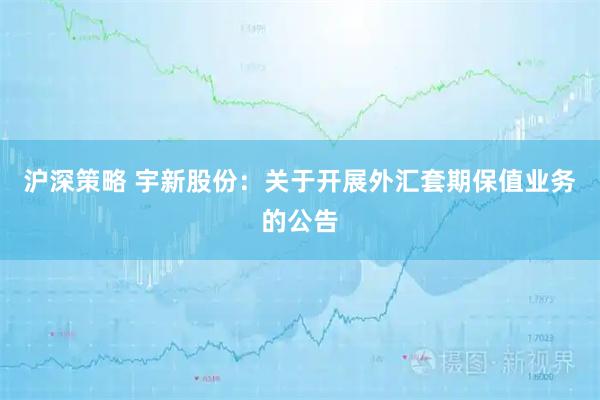 沪深策略 宇新股份：关于开展外汇套期保值业务的公告