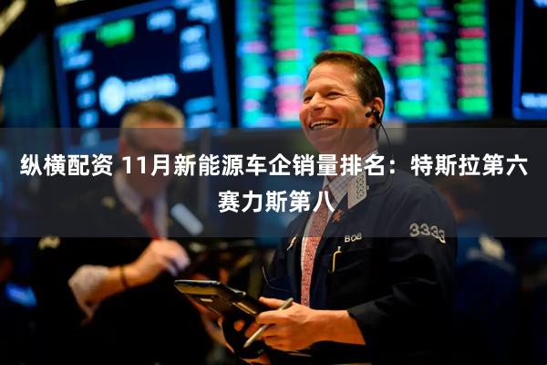 纵横配资 11月新能源车企销量排名：特斯拉第六 赛力斯第八