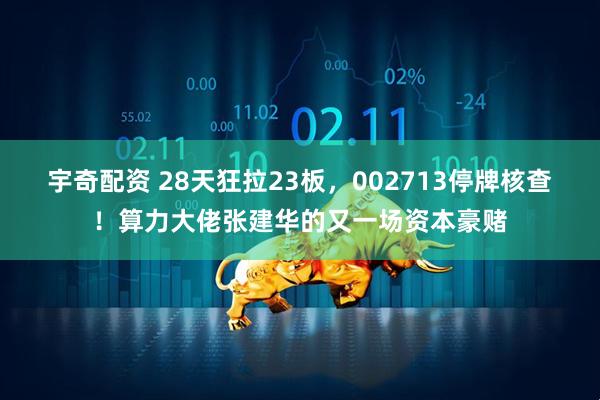 宇奇配资 28天狂拉23板，002713停牌核查！算力大佬张建华的又一场资本豪赌