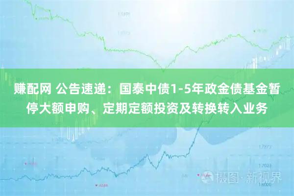 赚配网 公告速递：国泰中债1-5年政金债基金暂停大额申购、定期定额投资及转换转入业务